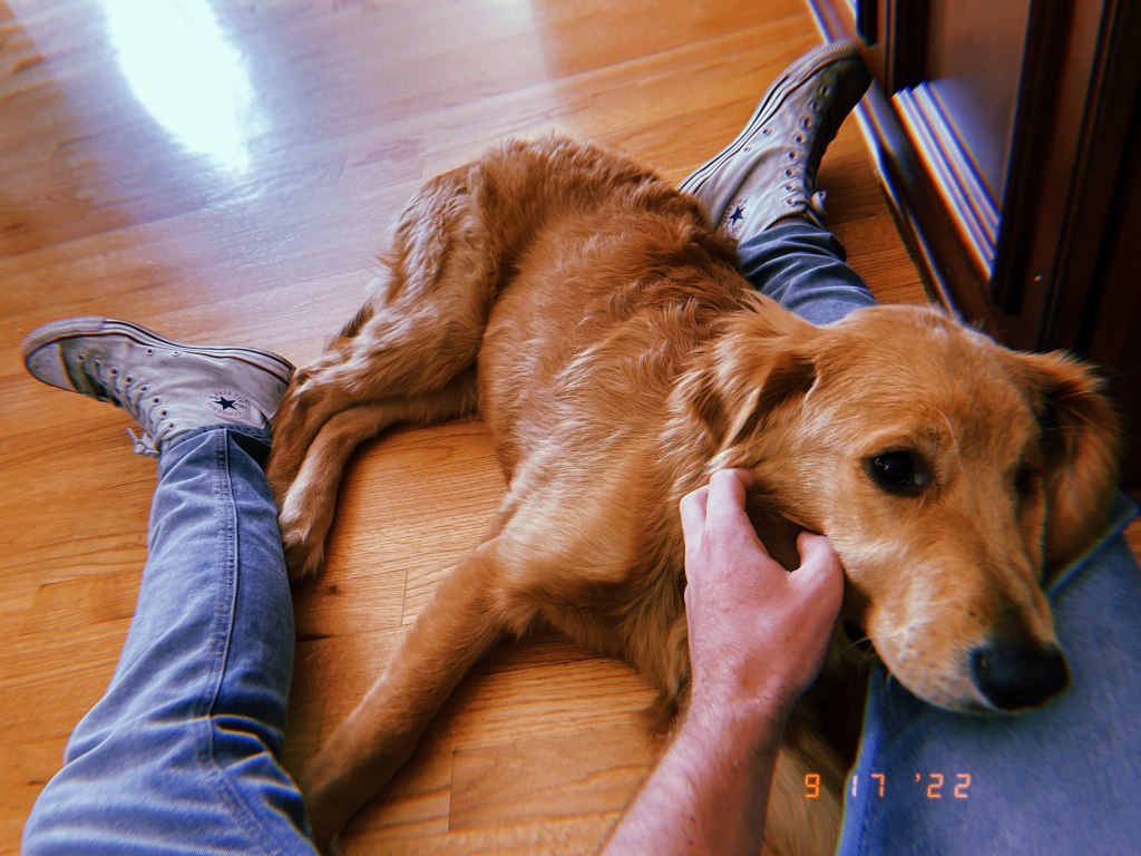 The Daily Pic&nbsp;9.17.22