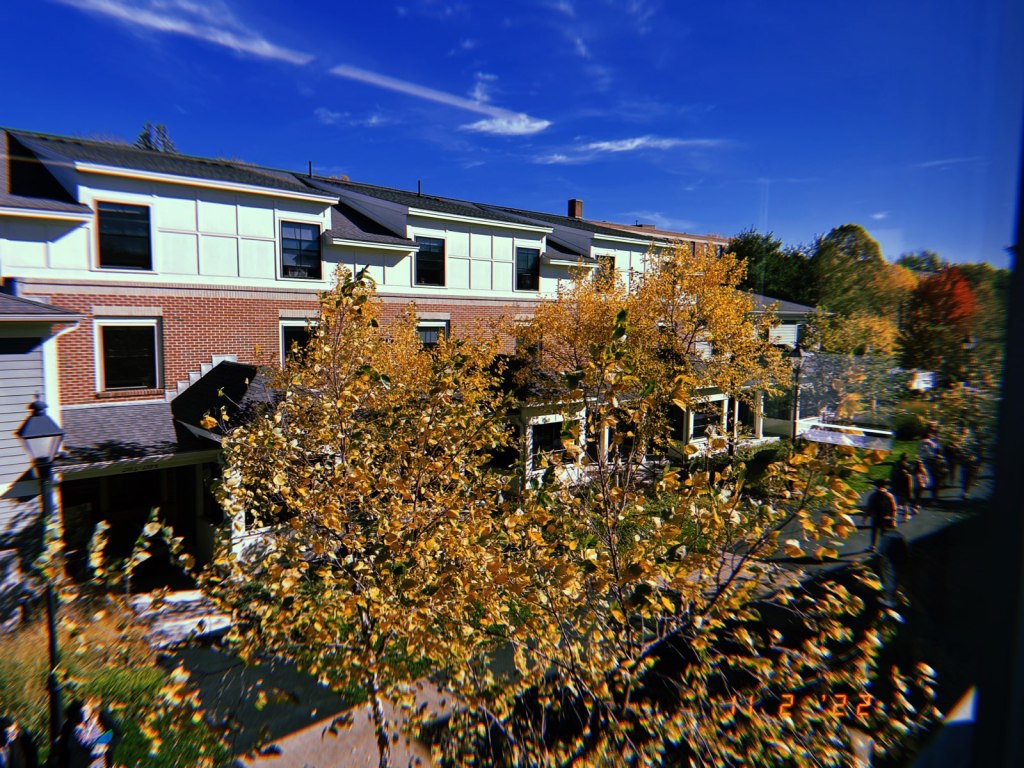 The Daily Pic&nbsp;11.2.22