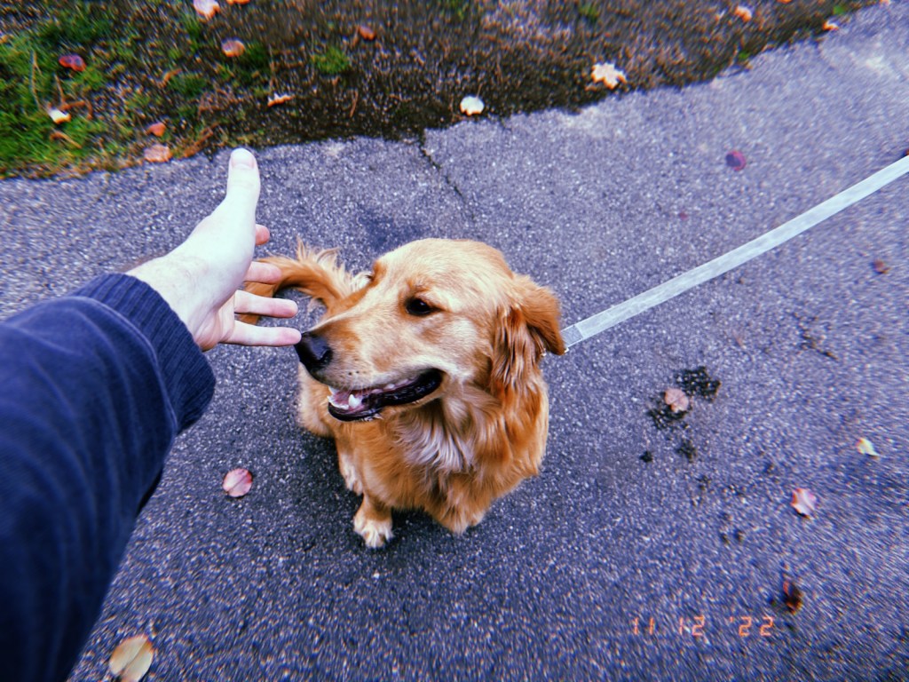 The Daily Pic&nbsp;11.12.22