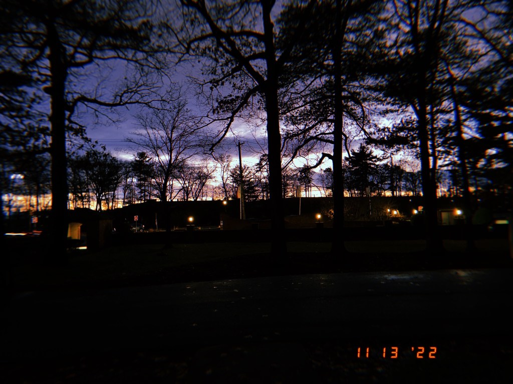 The Daily Pic&nbsp;11.13.22