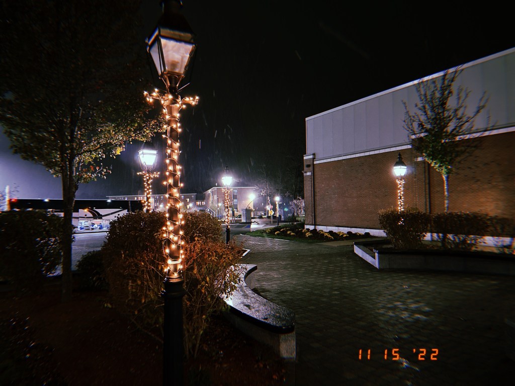 The Daily Pic&nbsp;11.14.22