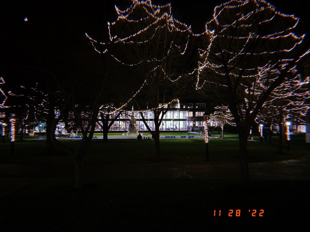 The Daily Pic&nbsp;11.28.22